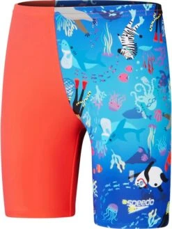 Speedo Jammers - Coral/Cobalt